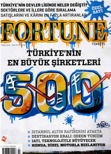 Fortune 500 - 2013