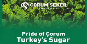 Pride of orum, Sugar of Turkey