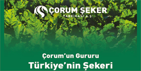 orum`un Gururu, Trkiye`nin ekeri